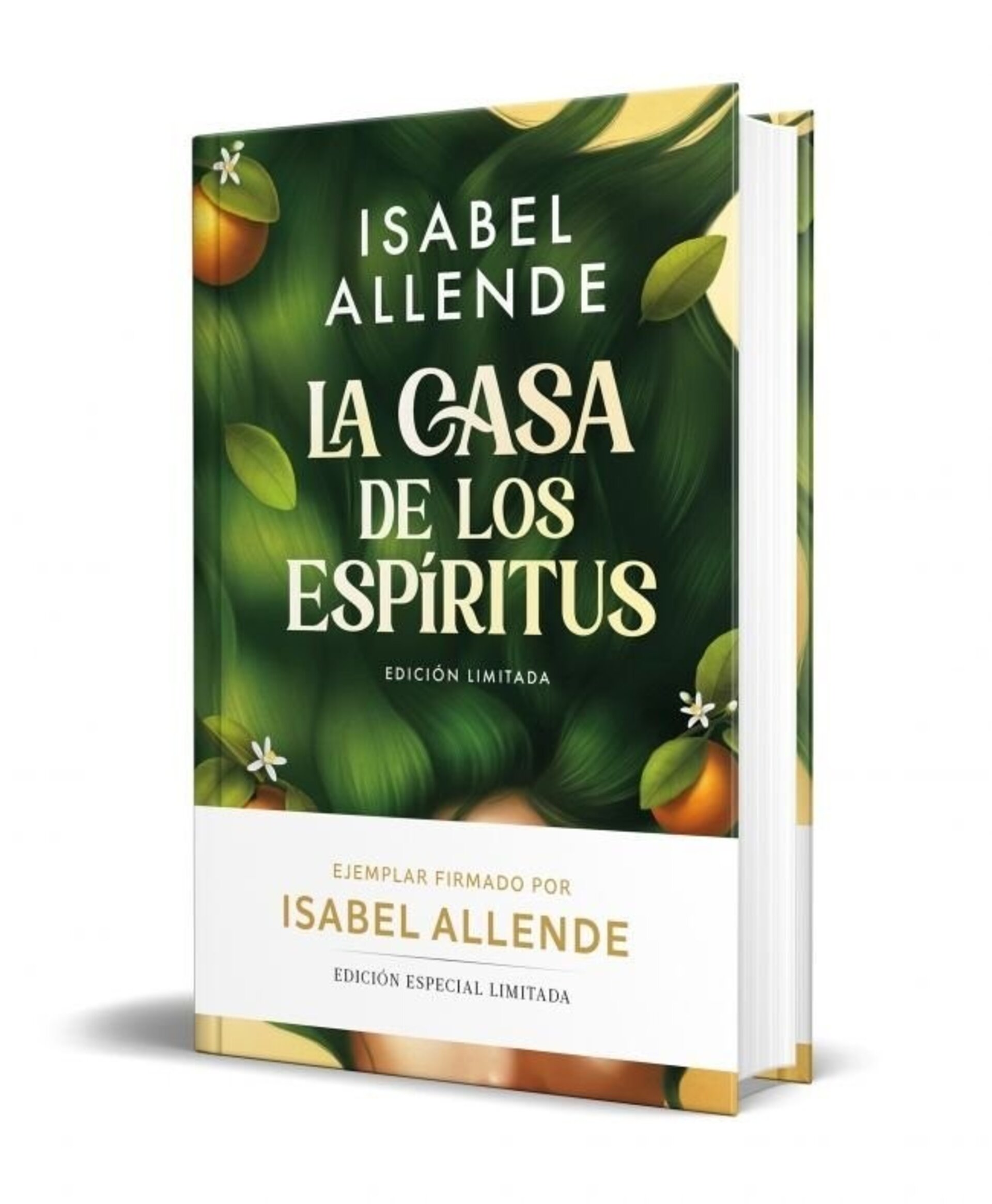 LA CASA DE LOS ESPIRITUS (BOLSILLO ESPECIAL) - 1