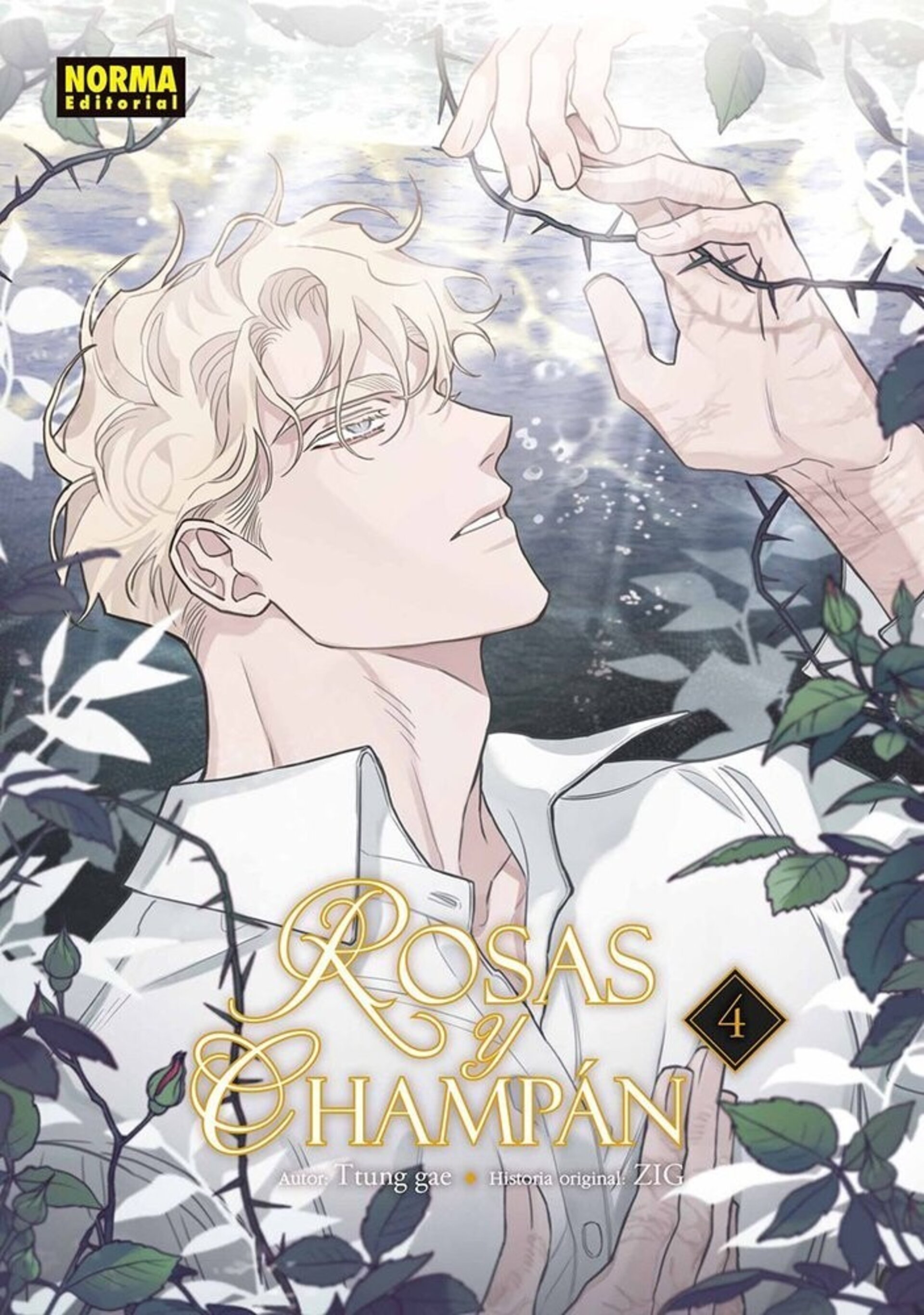 ROSAS Y CHAMPAN 4 - 1