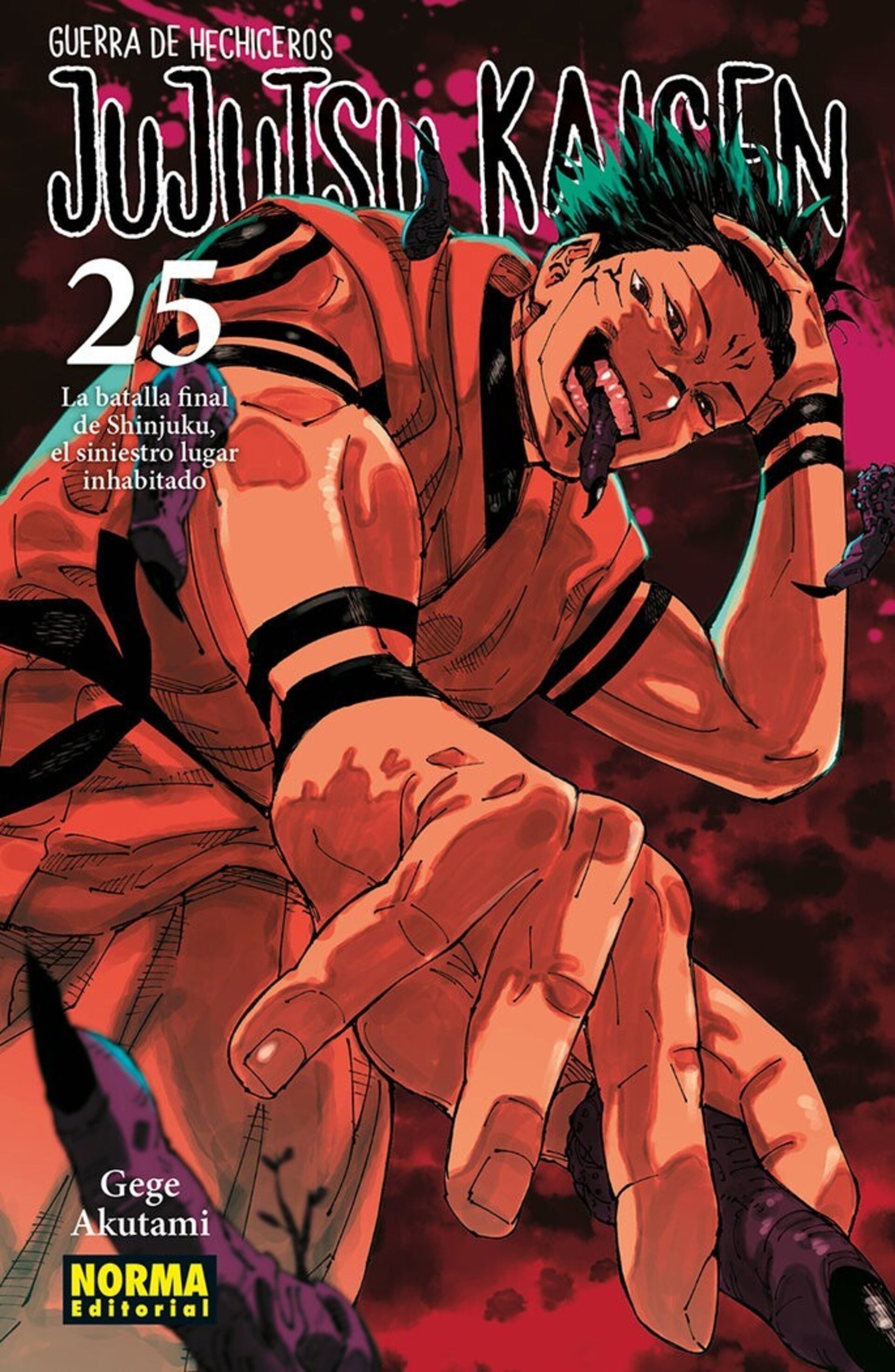 JUJUTSU KAISEN 25 - 1