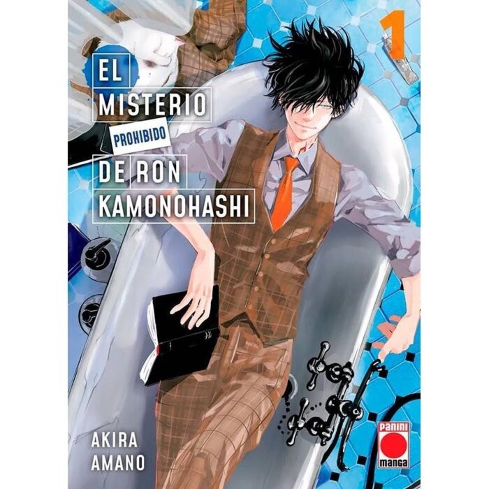 EL MISTERIO PROHIBIDO DE RON KAMONOHASHI 1 - 1