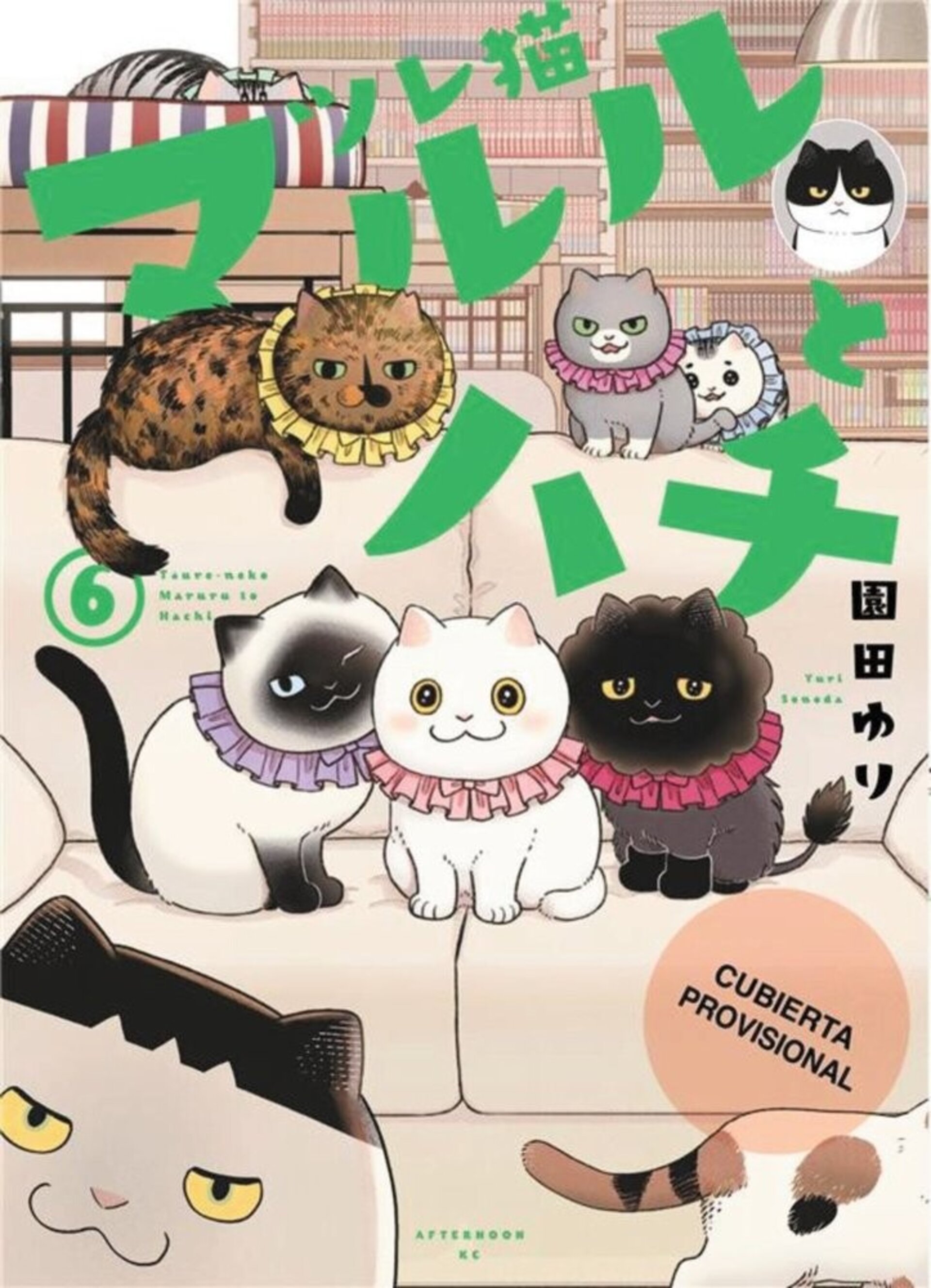 LOS AMIGATOS HACHI Y MARURU 6 - 1