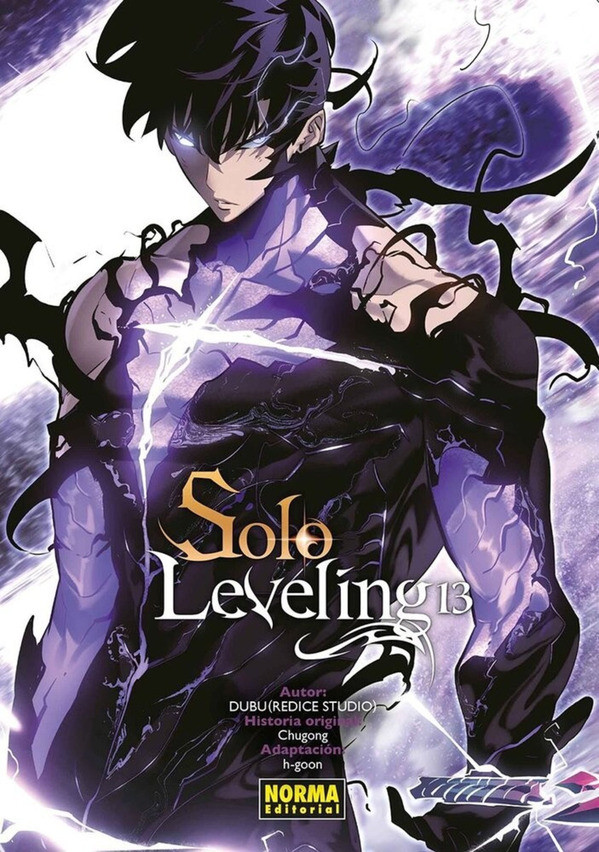 SOLO LEVELING 13 - 1