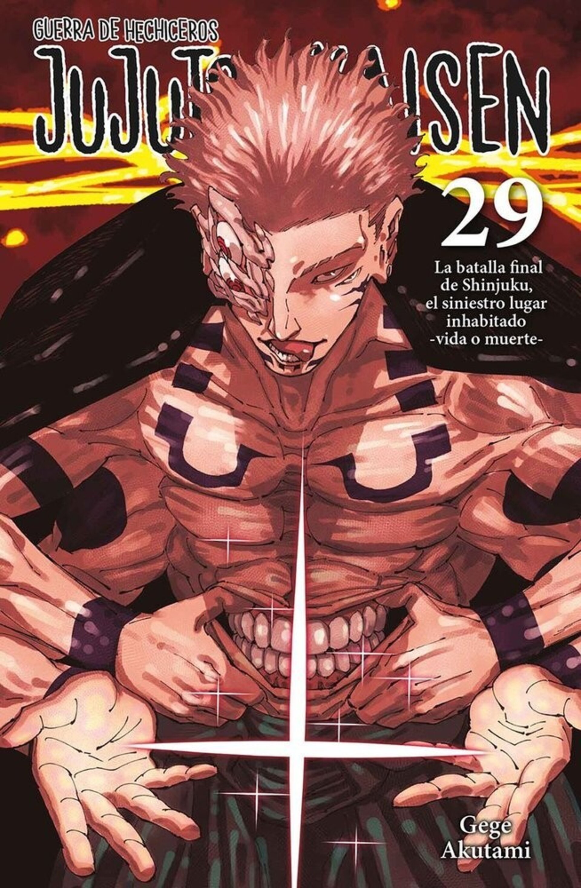 JUJUTSU KAISEN 29 - 1